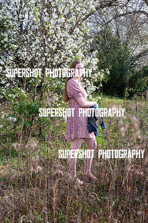 SSP_3184