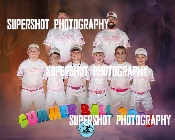 D1 Flashy Flamingo Team