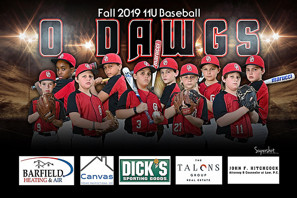 ODawgs 11U Banner