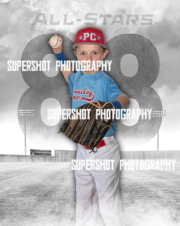 SSP_6077
