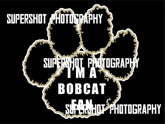 I'm a Bobcat fan