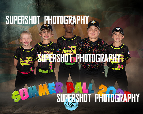 Vacation Vandals Team