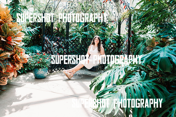 SSP_8799
