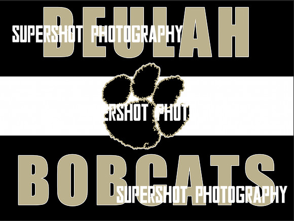 Beulah Bobcats - Paw