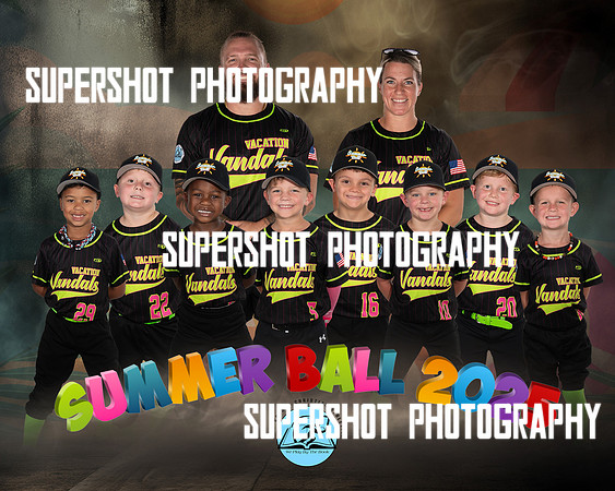 Vacation Vandals Team
