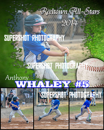 Baseball Poster